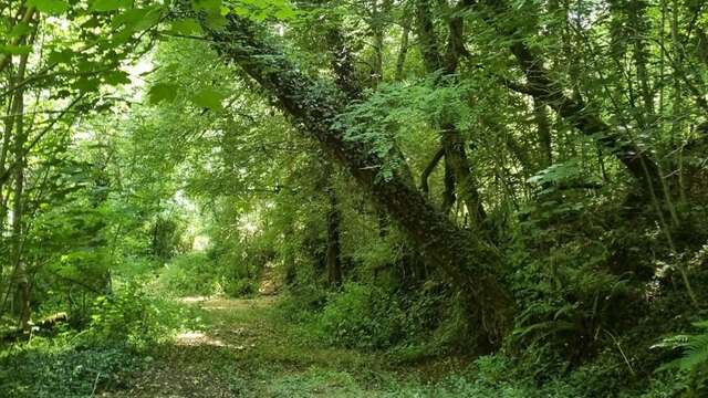 Nature, saveurs et détente au Domaine du Sablou