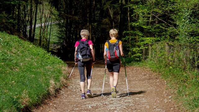 Randonnées pédestre et VTT