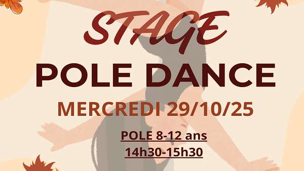 Stage de pole dance enfant
