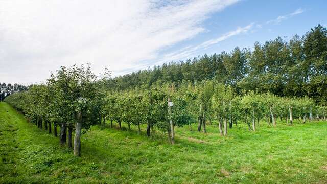 Ferme fruitière du Mesnil Jourdain