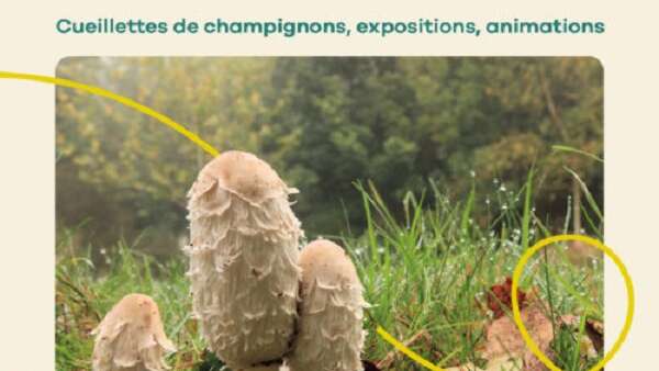 Les Automnales du château de Martot