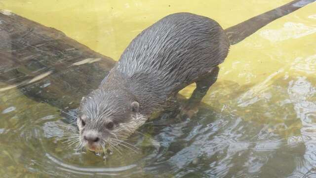 Les jardins animaliers Biotropica