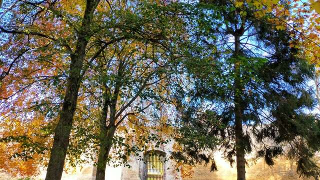 Parc du Château de Gisors