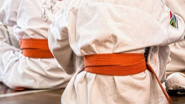 Judo pro League