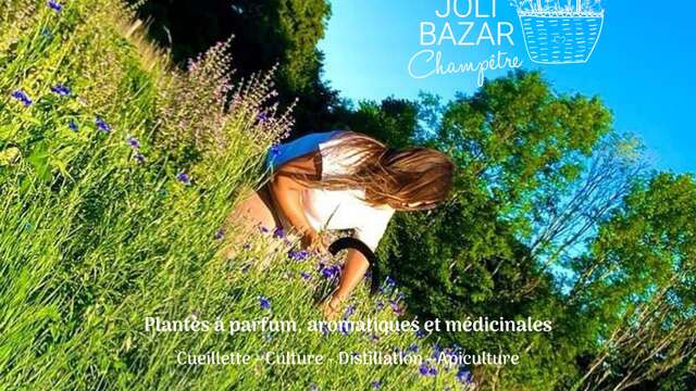 Mon Joli Bazar Champêtre - Paysanne herboriste, plantes à parfum, aromatiques et médicinales