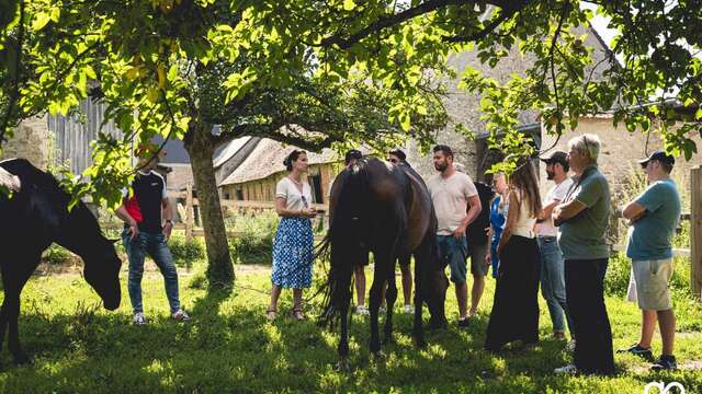 Les Ateliers du Mont Viné
