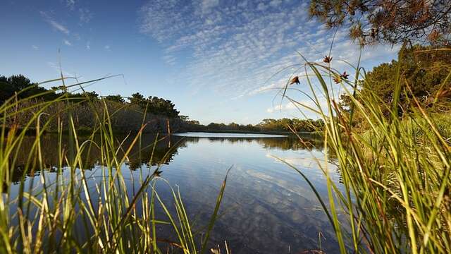 Au coeur des marais de Mousterlin