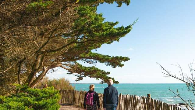 Le bocage de Beg Meil