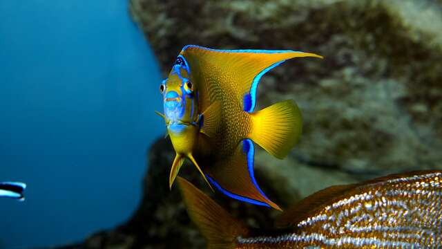Grand Aquarium de Saint-Malo