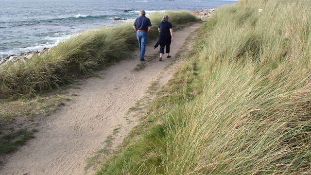 Plage de l'île Jaouen, Landrellec
