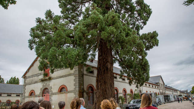 Haras National de Lamballe