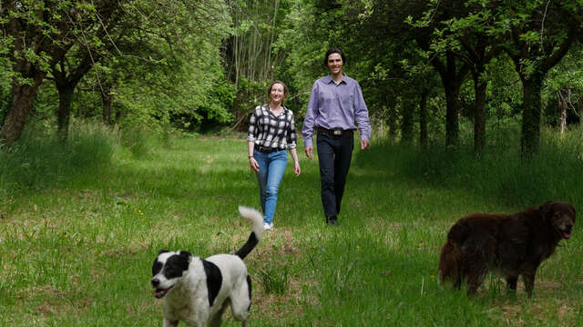 Cidrerie les Vergers de Kermao