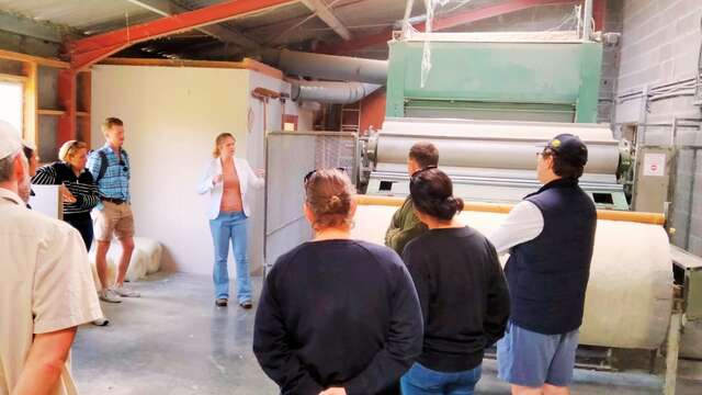 Visite d'entreprise : Laine et Compagnie