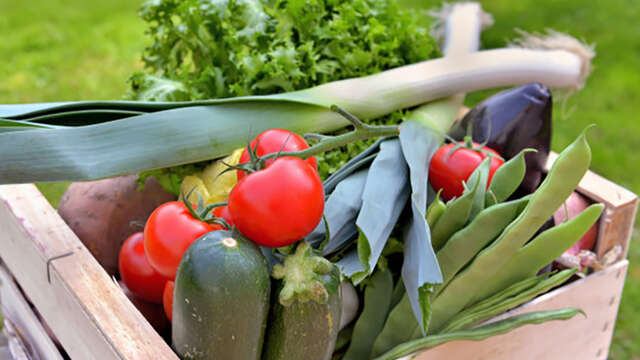 Verdures, légumes bio du Plateau