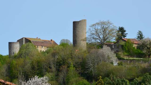 Visite guidée de Châlus et histoire des deux châteaux + dégustation
