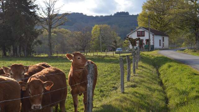 LE TOURTOULLOUX