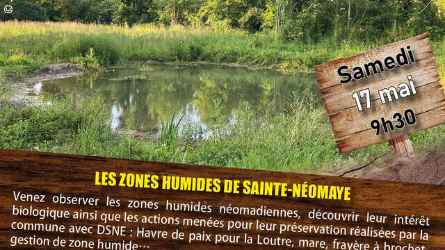 Sortie nature : Les zones humides de Sainte-Néomaye