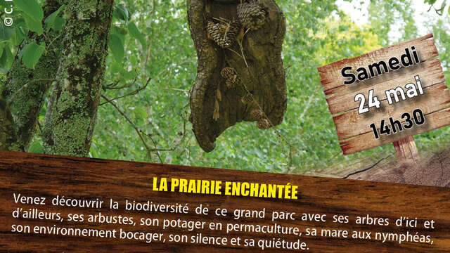Sortie nature : La Prairie enchantée