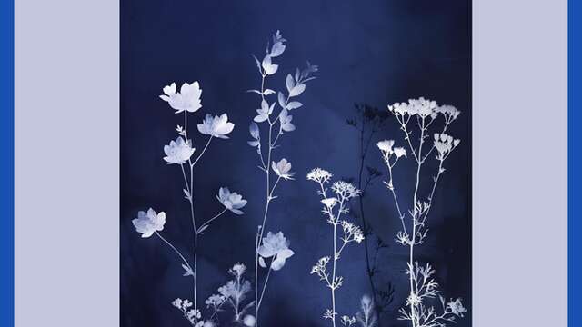 Atelier cyanotype