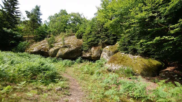 Sentier des pierres à légendes