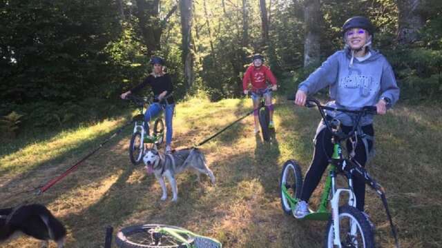 Husk'in Creuse : Cani Trotinette