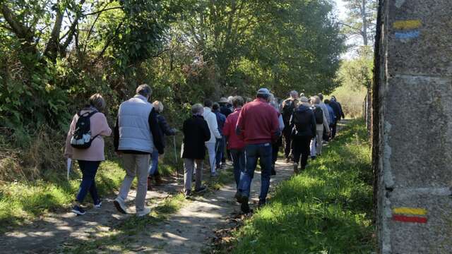 Festival du Haut Limousin - Rendez-vous nature et patrimoine - De Mortemart à Montrol-Sénard