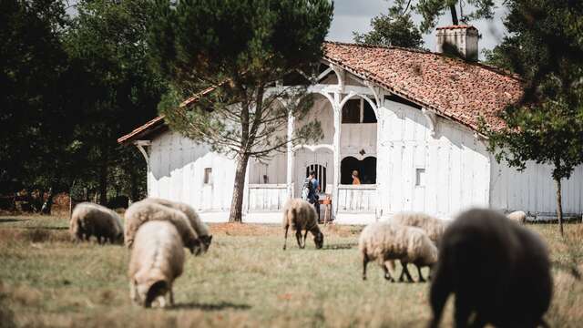 Ecomusée de Marquèze