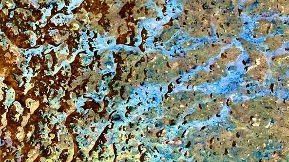 Exposition - Cette mer est si bleue qu’il n’y a que le sang qui soit plus rouge