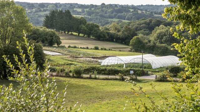 Ferme agroecologique"Courgette et Poulette"