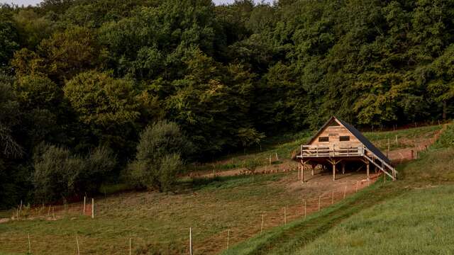Fête de la nature :  la ferme Courgettes et Poulettes : "Les autres oiseaux de Nabouliéras"