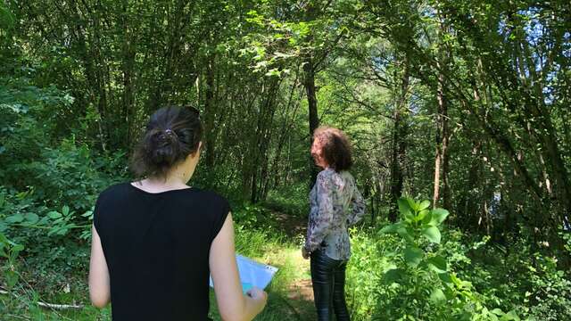 Parcours d'orientation, base de loisirs de Saint-Victurnien