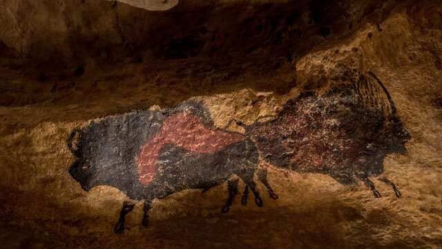 Soirée art pariétal et gastronomie