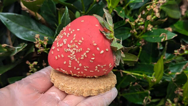 Pâtisserie Papilles