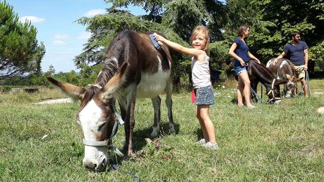 Atelier Petit Anier