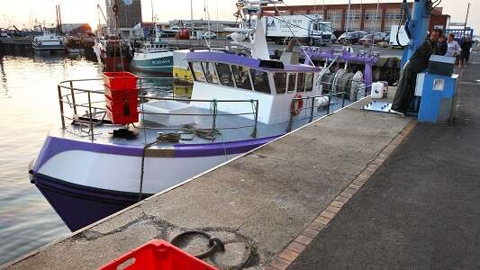 Visite Guidée de la Criée