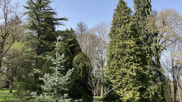Découverte de l'arboretum du Château de Montautre