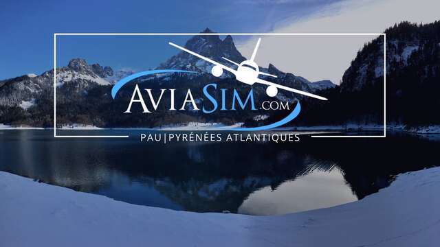 AviaSim : simulateur de vol