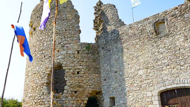 Château de Lastours