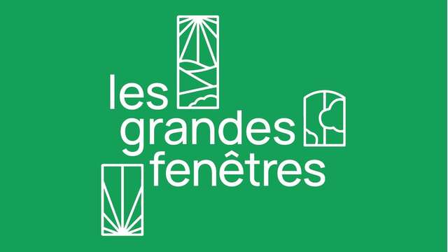 A la rencontre insolite des mycètes #2