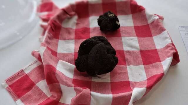 Marché aux truffes