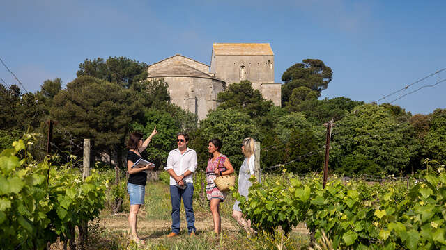DÉGUSTATION AU CŒUR DES VIGNES