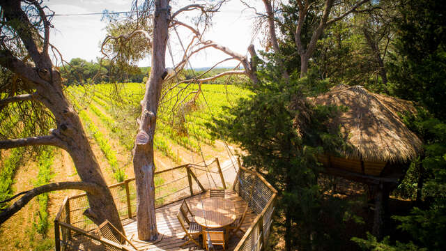 LES CABANES DE L'ARBOUSIER - CABANE ROLLIER