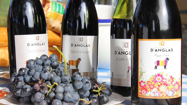 Domaine d'Anglas