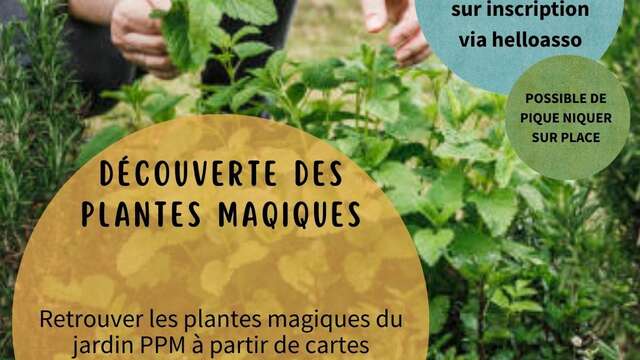 DÉCOUVERTE DES PLANTES MAGIQUES