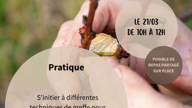 GREFFE D'ARBRES FRUITIERS