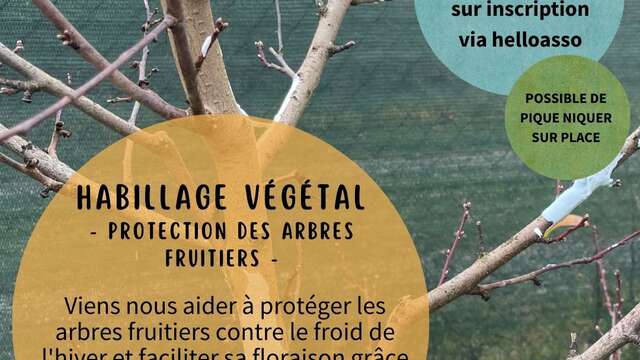 HABILLAGE VÉGÉTAL : PROTECTION DES ARBRES FRUITIERS