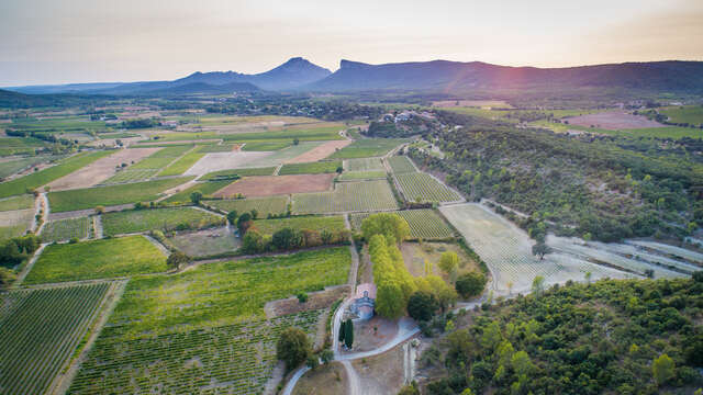 CHÂTEAU LANCYRE