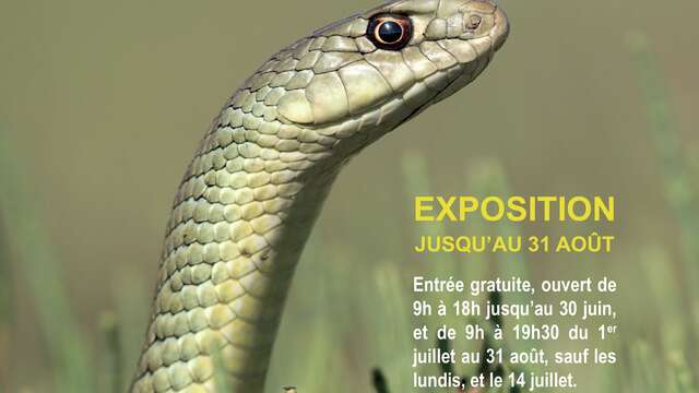 EXPOSITION PHOTOGRAPHIQUE - MAISON DE LA NATURE