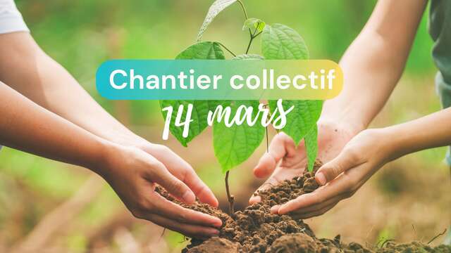 CHANTIER COLLECTIF : PLANTATION D'UNE HAIE