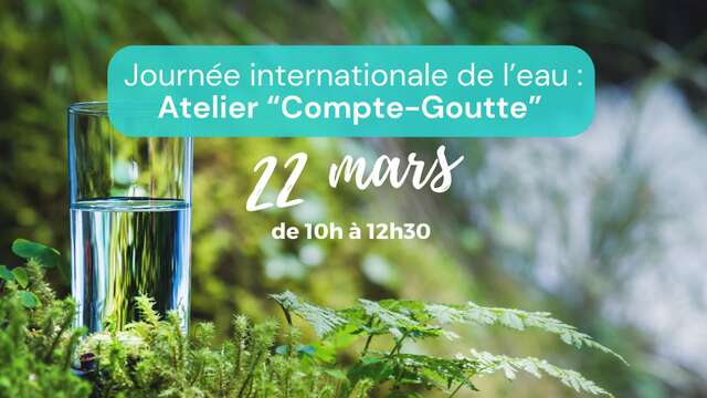 JOURNÉE DE L'EAU: ATELIER "COMPTE-GOUTTE"